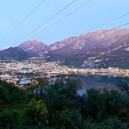La Dimora Degli Olivi Dependance Villa Galbiate Eksteriør billede